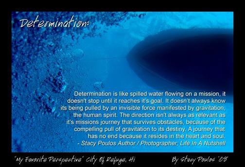 Determination By Stacy Poulos