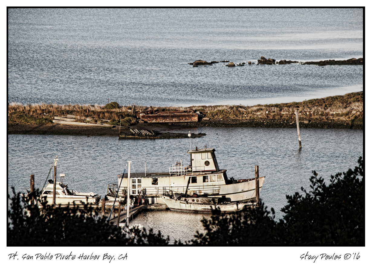 Photo Pt. San Pablo Pirate Yacht club Harbor ©2016 By Stacy Poulos