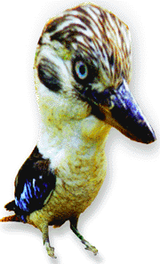 Australian BIRD